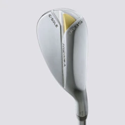 Honma TW W21 - Wedge (custom)